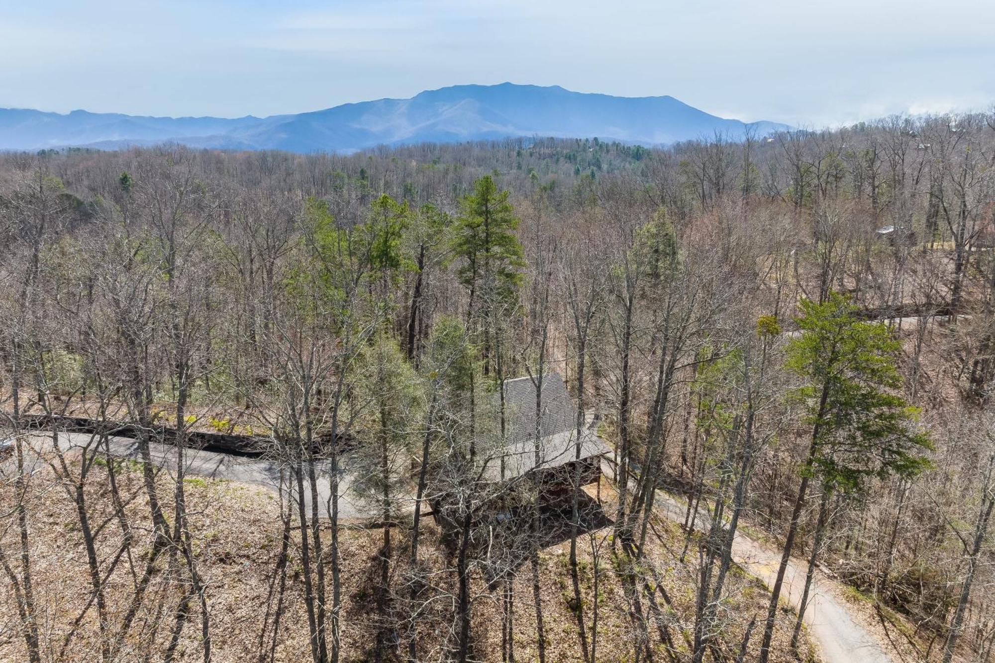 Dudley II By Avantstay Comfortable Cabin W Hot Tub Views Pigeon Forge Esterno foto